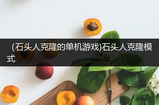 （石头人克隆的单机游戏)石头人克隆模式
