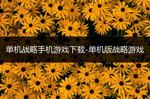 单机战略手机游戏下载-单机版战略游戏