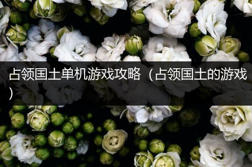 占领国土单机游戏攻略（占领国土的游戏）