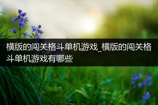 横版的闯关格斗单机游戏_横版的闯关格斗单机游戏有哪些