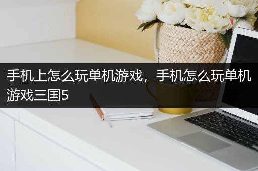 手机上怎么玩单机游戏，手机怎么玩单机游戏三国5