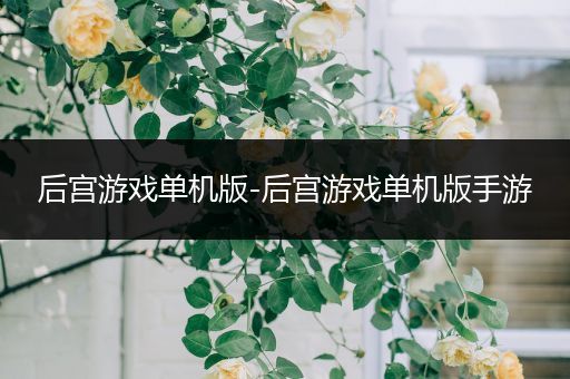 后宫游戏单机版-后宫游戏单机版手游