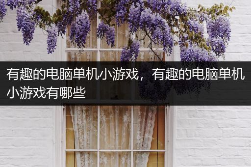 有趣的电脑单机小游戏，有趣的电脑单机小游戏有哪些