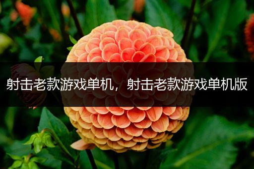 射击老款游戏单机，射击老款游戏单机版