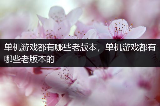 单机游戏都有哪些老版本，单机游戏都有哪些老版本的