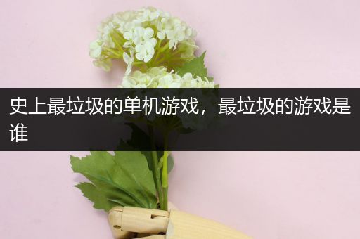 史上最垃圾的单机游戏，最垃圾的游戏是谁
