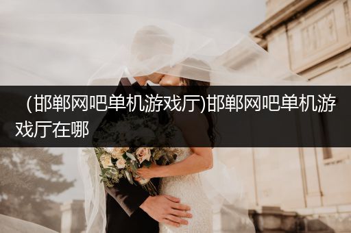 （邯郸网吧单机游戏厅)邯郸网吧单机游戏厅在哪