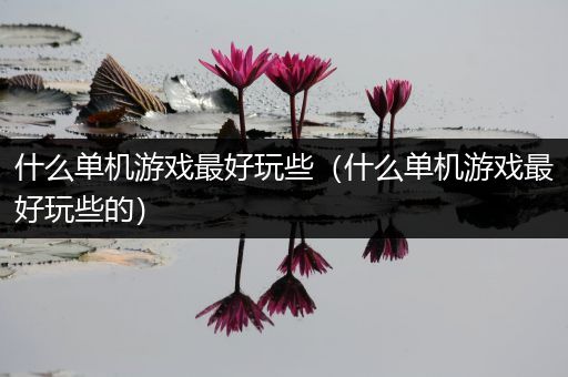 什么单机游戏最好玩些（什么单机游戏最好玩些的）
