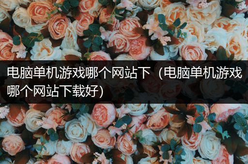 电脑单机游戏哪个网站下（电脑单机游戏哪个网站下载好）