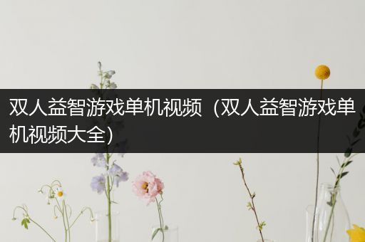 双人益智游戏单机视频（双人益智游戏单机视频大全）