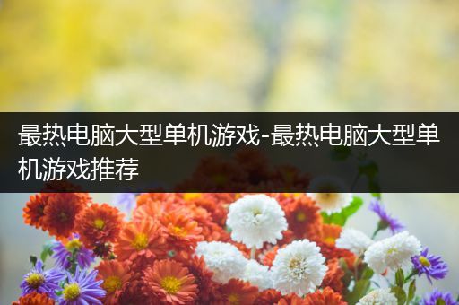 最热电脑大型单机游戏-最热电脑大型单机游戏推荐