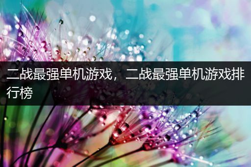 二战最强单机游戏，二战最强单机游戏排行榜