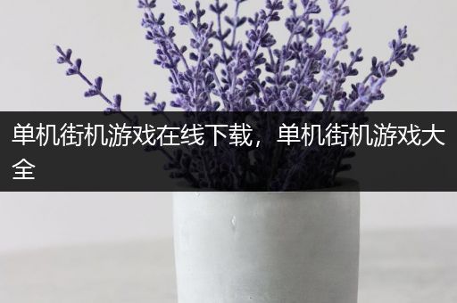 单机街机游戏在线下载，单机街机游戏大全