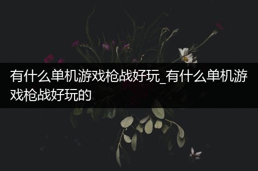 有什么单机游戏枪战好玩_有什么单机游戏枪战好玩的