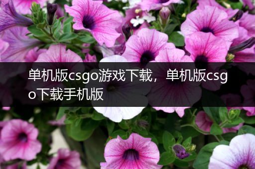 单机版csgo游戏下载，单机版csgo下载手机版