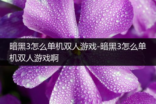 暗黑3怎么单机双人游戏-暗黑3怎么单机双人游戏啊