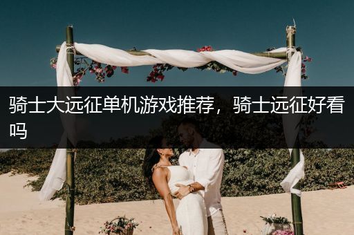 骑士大远征单机游戏推荐，骑士远征好看吗