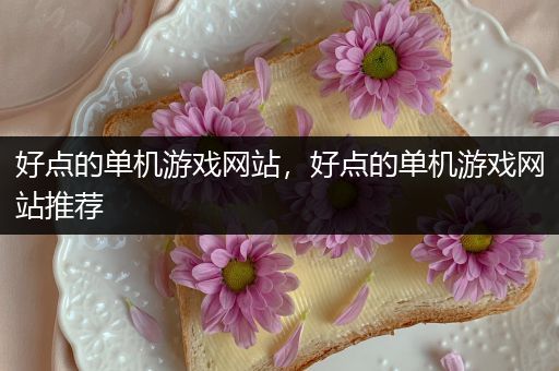 好点的单机游戏网站，好点的单机游戏网站推荐