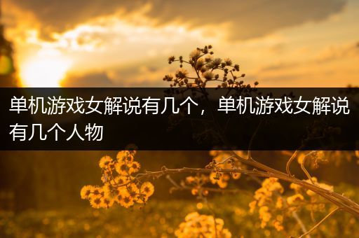 单机游戏女解说有几个，单机游戏女解说有几个人物