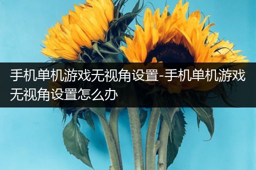 手机单机游戏无视角设置-手机单机游戏无视角设置怎么办