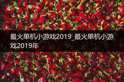 最火单机小游戏2019_最火单机小游戏2019年