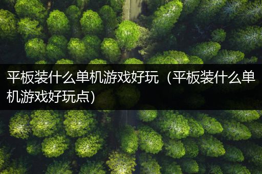平板装什么单机游戏好玩（平板装什么单机游戏好玩点）