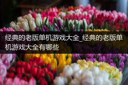 经典的老版单机游戏大全_经典的老版单机游戏大全有哪些
