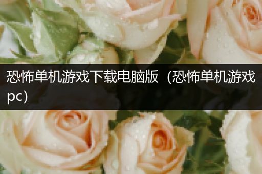 恐怖单机游戏下载电脑版（恐怖单机游戏pc）