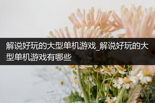 解说好玩的大型单机游戏_解说好玩的大型单机游戏有哪些