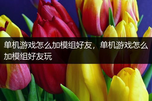 单机游戏怎么加模组好友，单机游戏怎么加模组好友玩