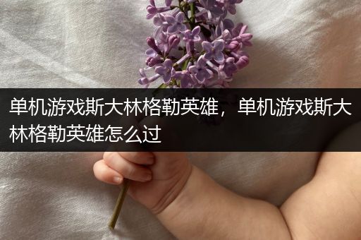 单机游戏斯大林格勒英雄，单机游戏斯大林格勒英雄怎么过