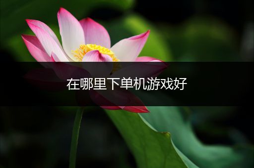 在哪里下单机游戏好