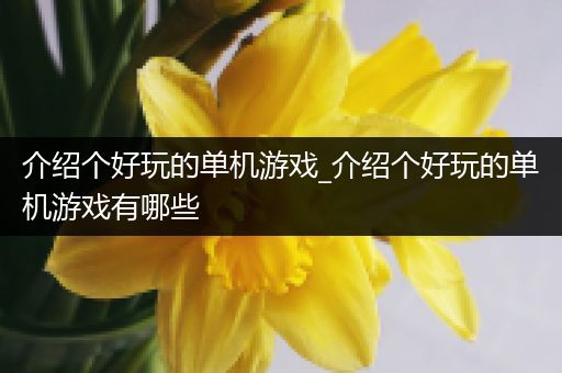介绍个好玩的单机游戏_介绍个好玩的单机游戏有哪些