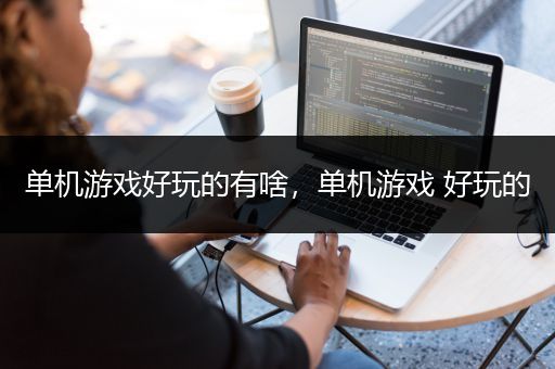 单机游戏好玩的有啥，单机游戏 好玩的