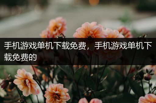 手机游戏单机下载免费，手机游戏单机下载免费的
