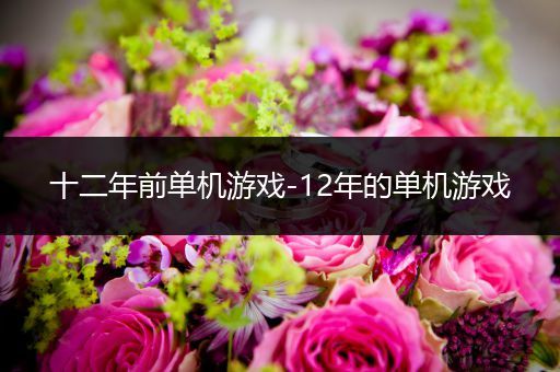 十二年前单机游戏-12年的单机游戏