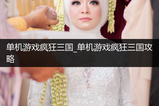 单机游戏疯狂三国_单机游戏疯狂三国攻略
