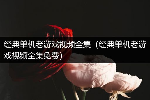 经典单机老游戏视频全集（经典单机老游戏视频全集免费）