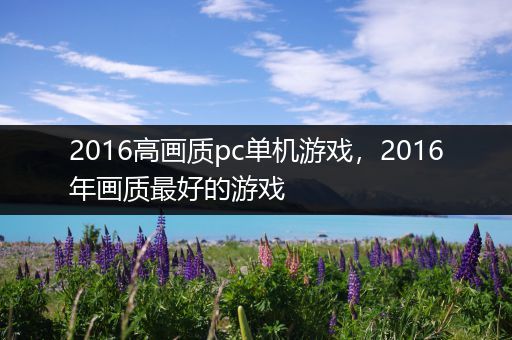 2016高画质pc单机游戏，2016年画质最好的游戏