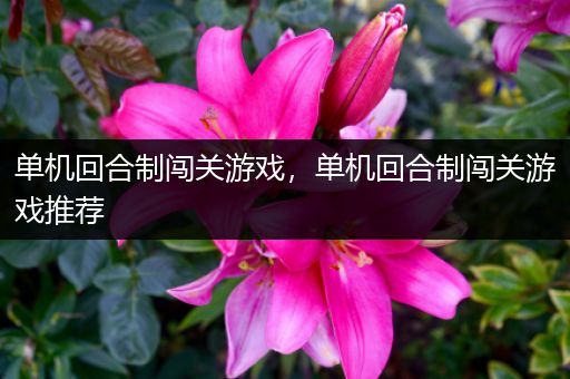 单机回合制闯关游戏，单机回合制闯关游戏推荐