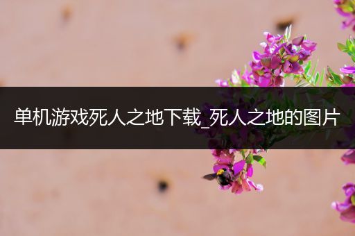 单机游戏死人之地下载_死人之地的图片
