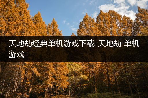 天地劫经典单机游戏下载-天地劫 单机游戏