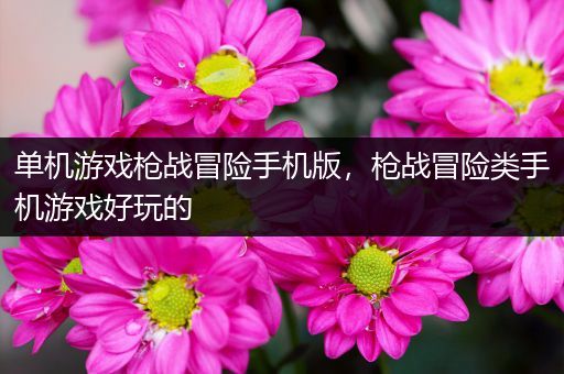 单机游戏枪战冒险手机版，枪战冒险类手机游戏好玩的