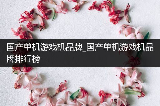 国产单机游戏机品牌_国产单机游戏机品牌排行榜