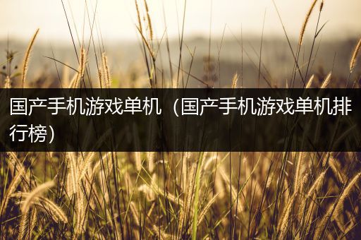 国产手机游戏单机（国产手机游戏单机排行榜）