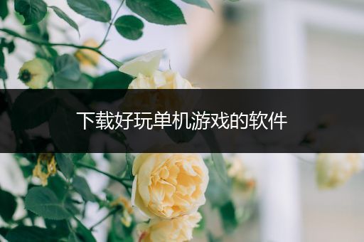下载好玩单机游戏的软件