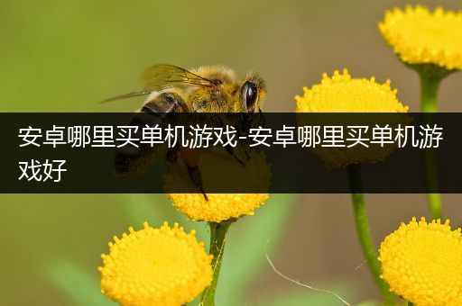 安卓哪里买单机游戏-安卓哪里买单机游戏好