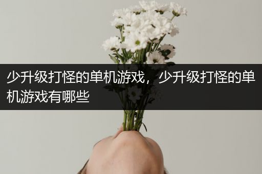 少升级打怪的单机游戏，少升级打怪的单机游戏有哪些