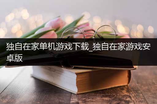 独自在家单机游戏下载_独自在家游戏安卓版