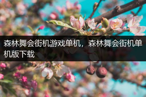 森林舞会街机游戏单机，森林舞会街机单机版下载